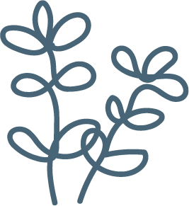 立っている葉っぱのイラスト画像